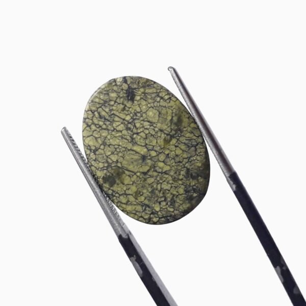 Serpentine 10.30ct - Image 4
