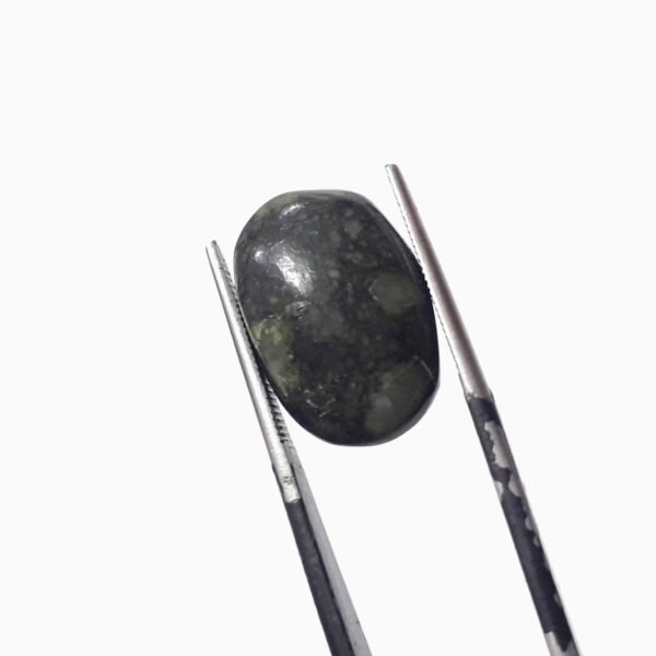 Serpentine 9.55ct