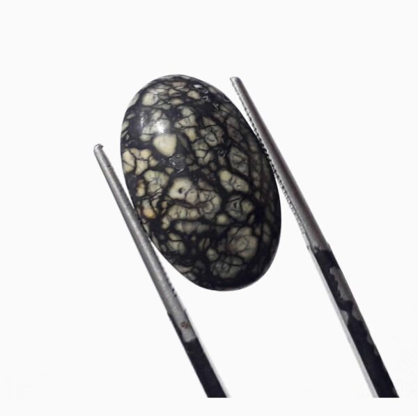 Serpentine 9.15ct