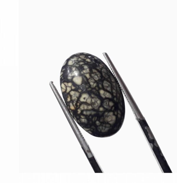 Serpentine 9.15ct - Image 3