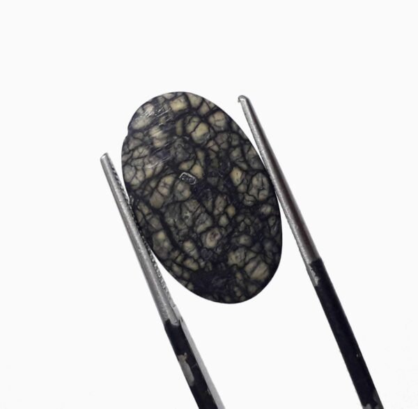 Serpentine 9.15ct - Image 4