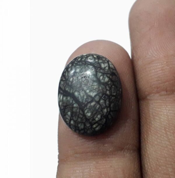 Serpentine 7.10ct - Image 2