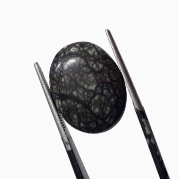 Serpentine 9.75ct