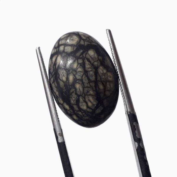 Serpentine 9.50ct