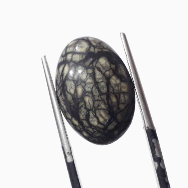 Serpentine 9.50ct - Image 3