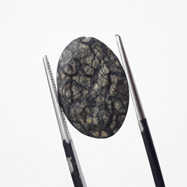 Serpentine 9.50ct - Image 4