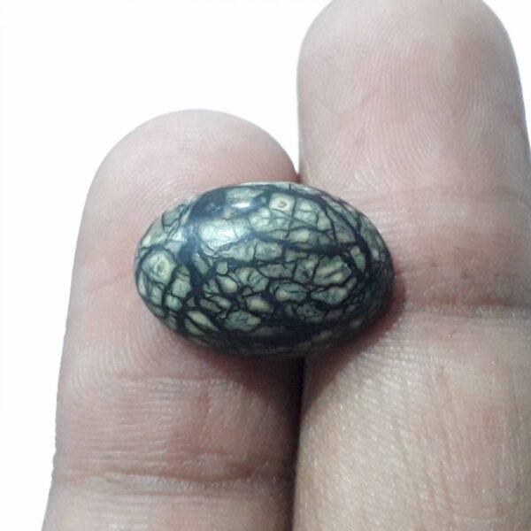 Serpentine 8.75ct - Image 2