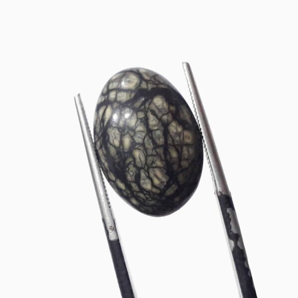Serpentine 8.75ct - Image 3