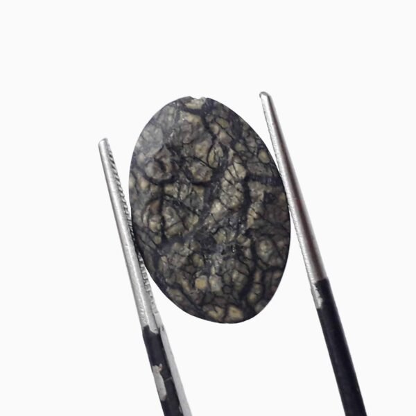 Serpentine 8.75ct - Image 4