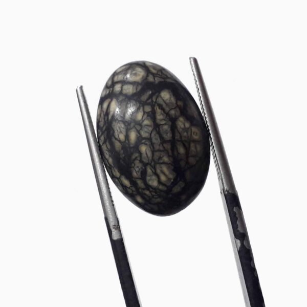 Serpentine 9.10ct