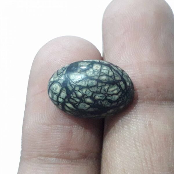 Serpentine 9.10ct - Image 2