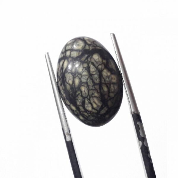 Serpentine 9.10ct - Image 3
