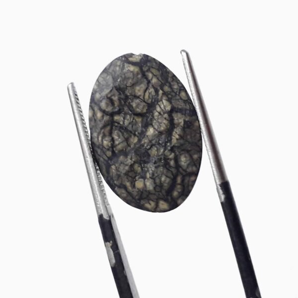Serpentine 9.10ct - Image 4