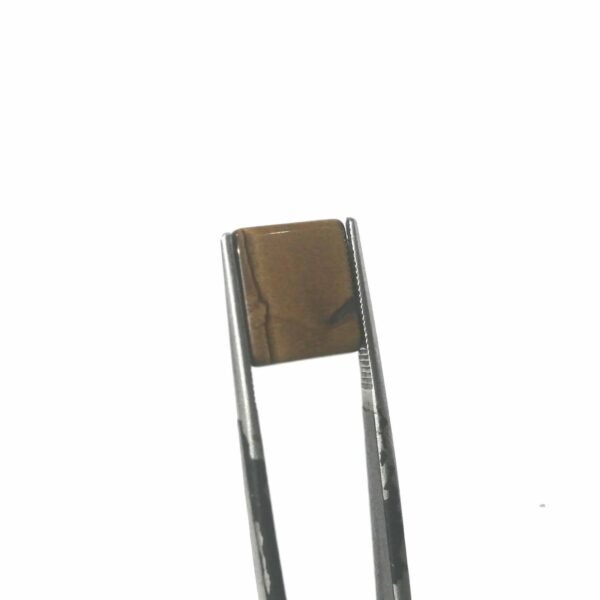 Tiger 3.95ct - Image 3