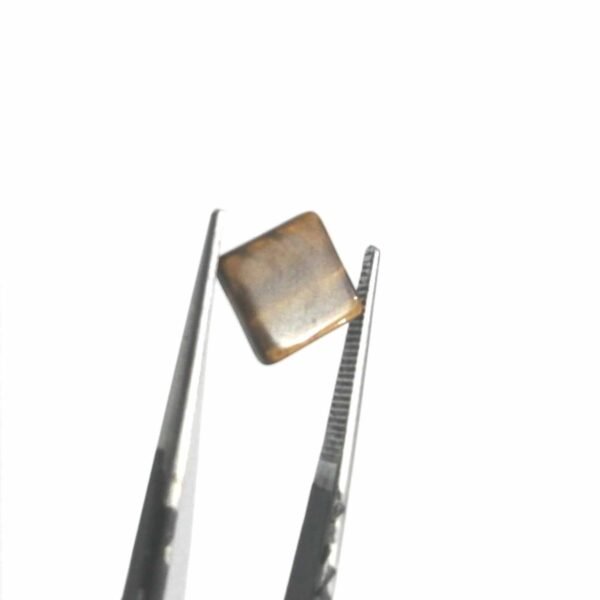 Tiger 2.20ct