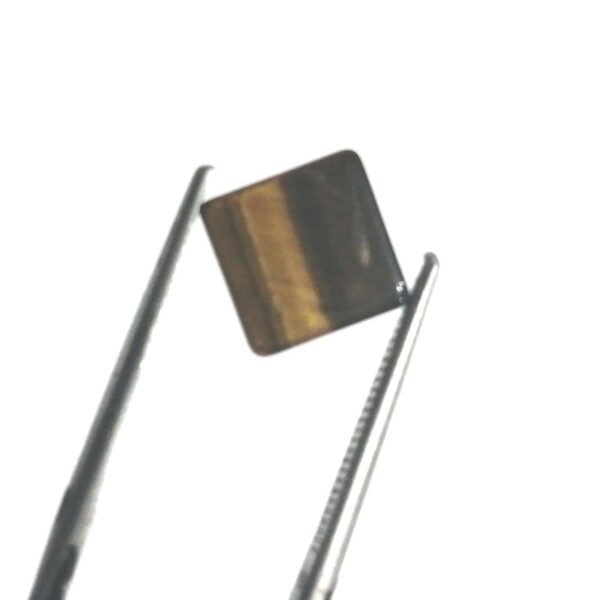 Tiger 1.95ct