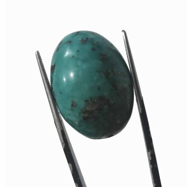 Shajri Feroza 39.25ct