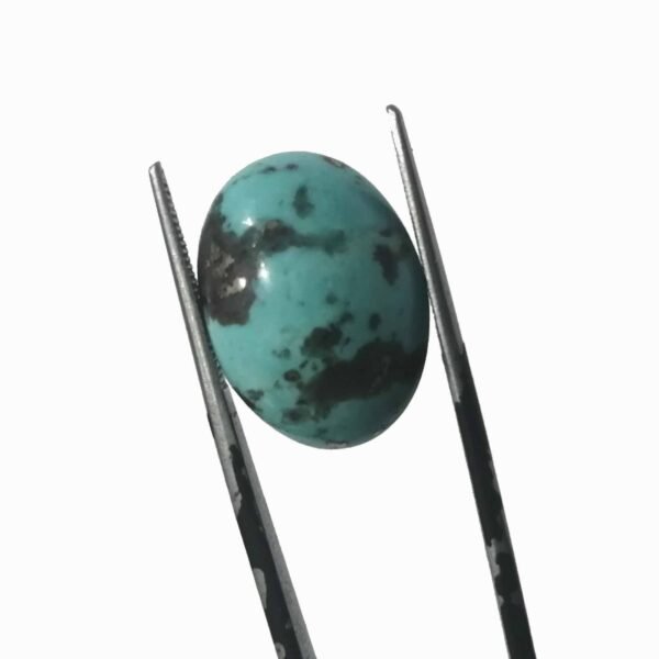 Shajri Feroza 15.85ct