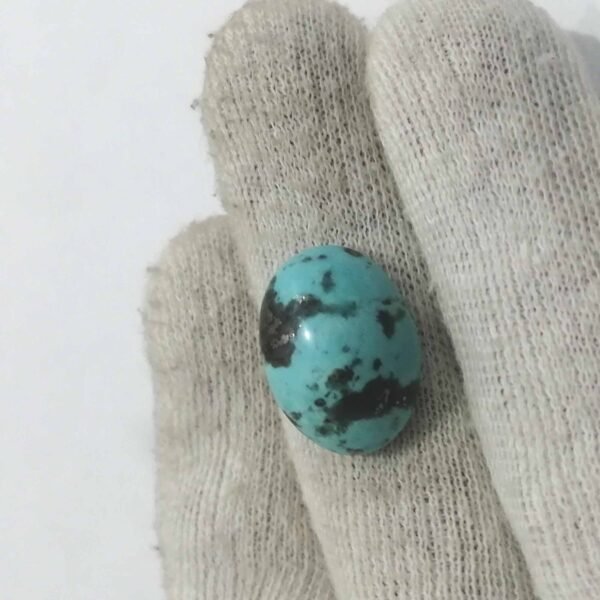 Shajri Feroza 15.85ct - Image 2