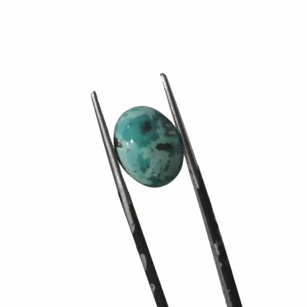 Shajri Feroza 5.55ct