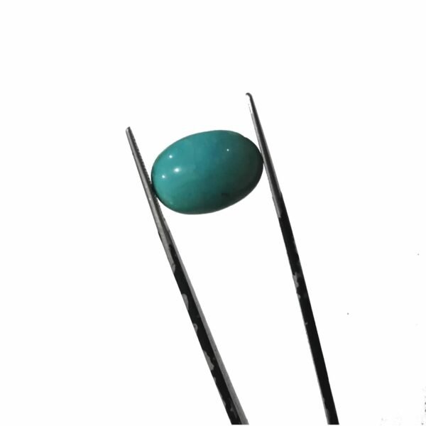 Feroza 10.45ct