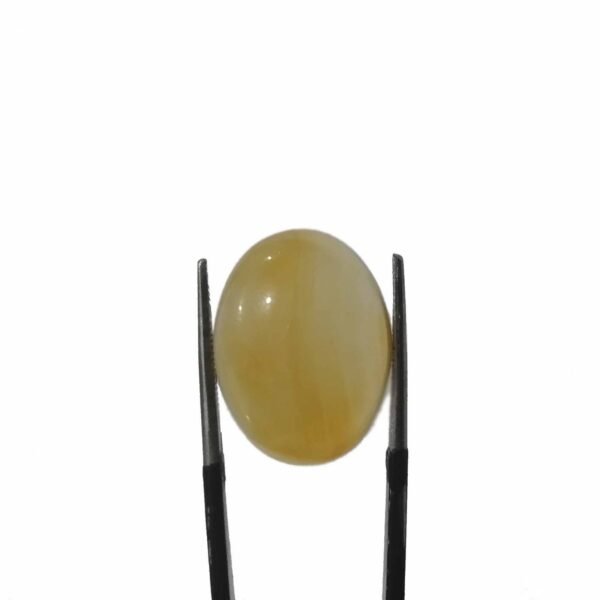 Agate 13.65ct