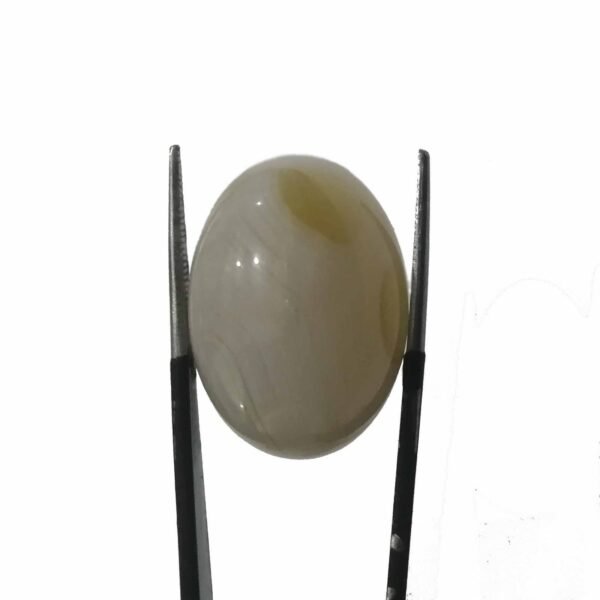 Agate 39.50ct