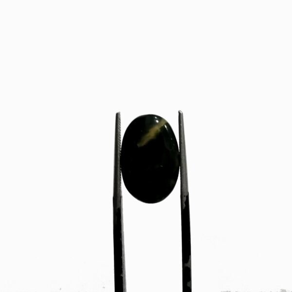 Bloodstone 8.85ct - Image 2