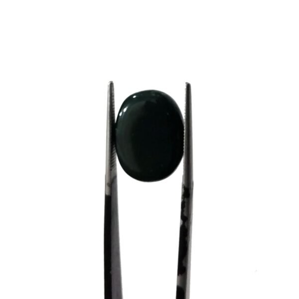 Bloodstone 9.35ct - Image 2