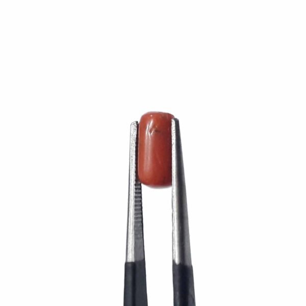 coral 1.80ct - Image 4