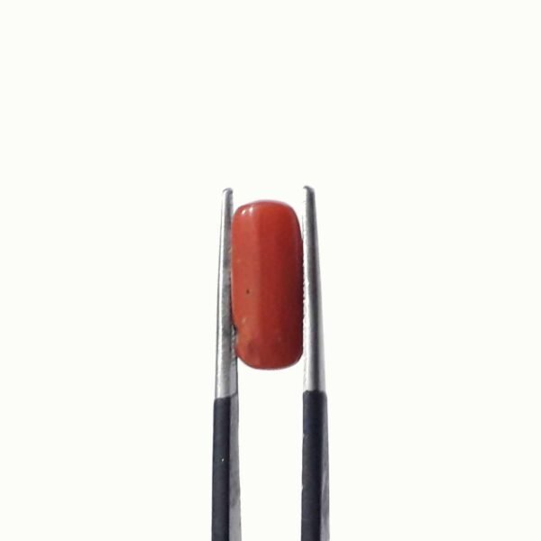 coral 3.90ct
