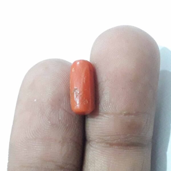 coral 3.90ct - Image 2