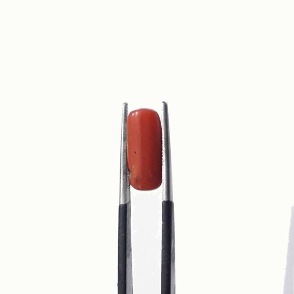 coral 3.90ct - Image 3