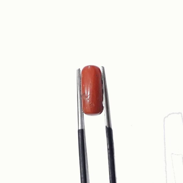 coral 3.90ct - Image 4