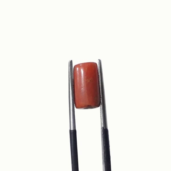 coral 3.80ct