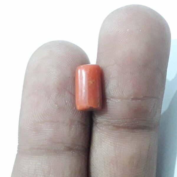 coral 3.80ct - Image 2