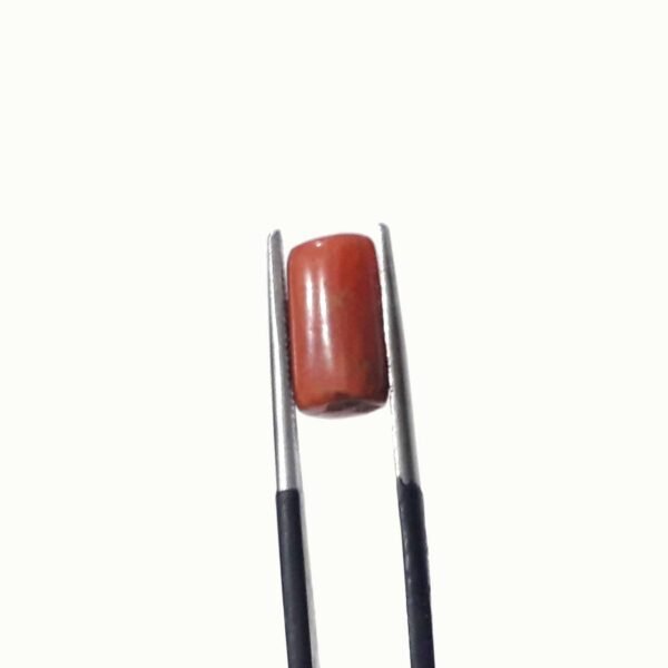 coral 3.80ct - Image 3