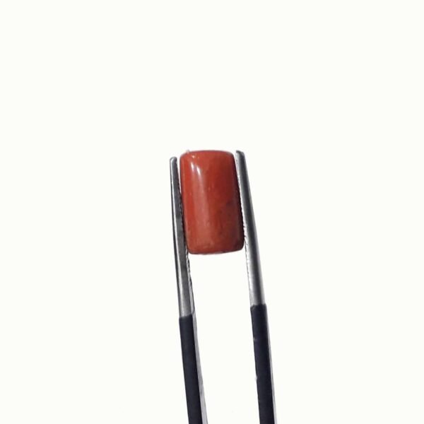 coral 3.80ct - Image 4