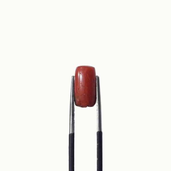 coral 3.50ct