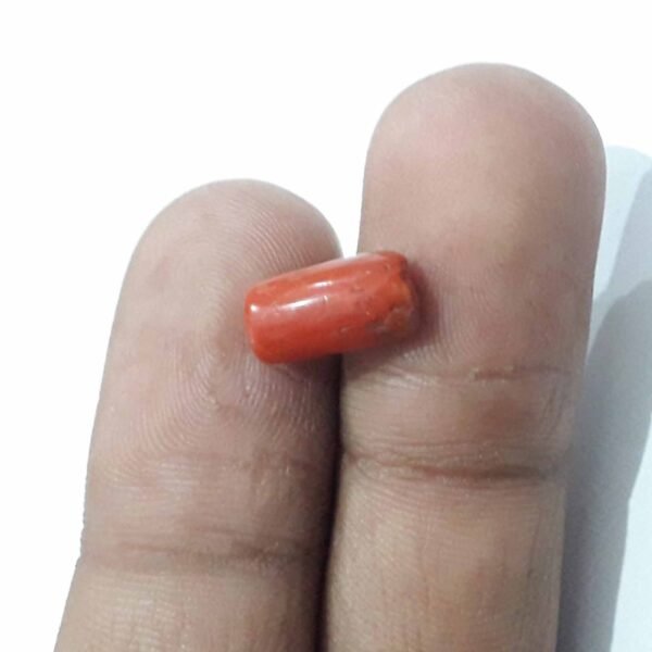 coral 3.50ct - Image 2