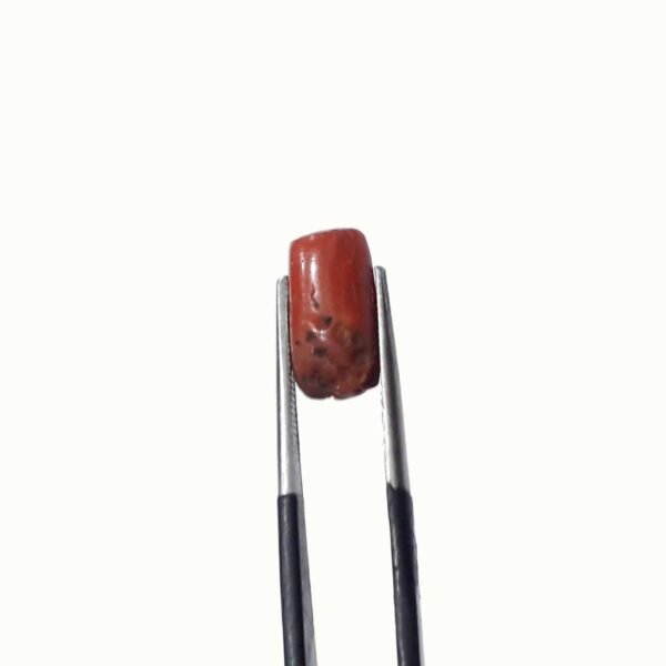 coral 3.50ct - Image 4
