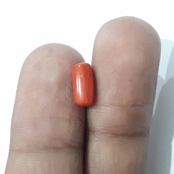 coral 2.60ct - Image 2