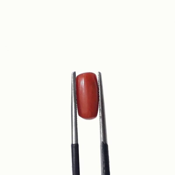 coral 2.60ct - Image 3