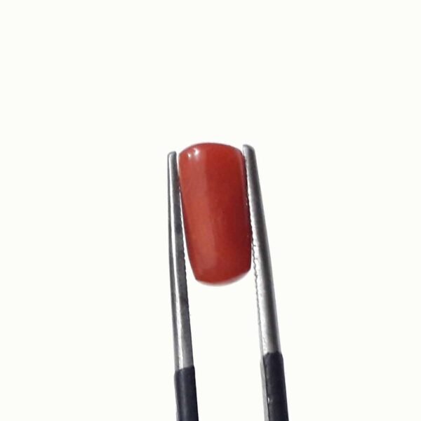 coral 2.60ct - Image 4