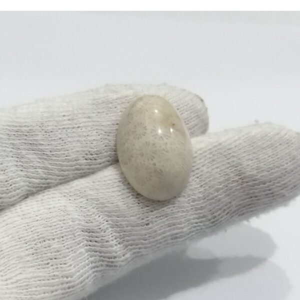 Coral Fossil 19.15ct - Image 2