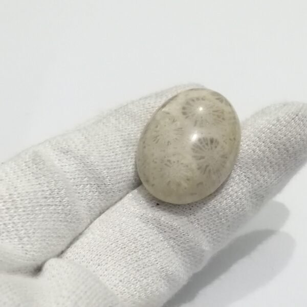 Coral Fossil 44.10ct - Image 2