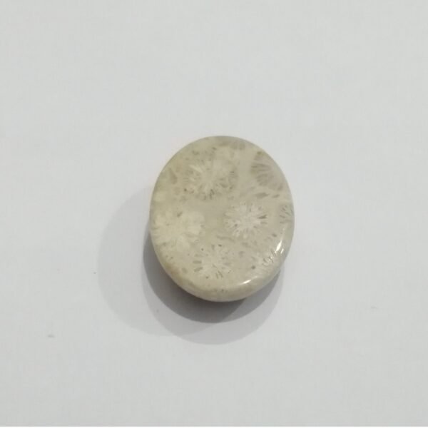 Coral Fossil 44.10ct - Image 3