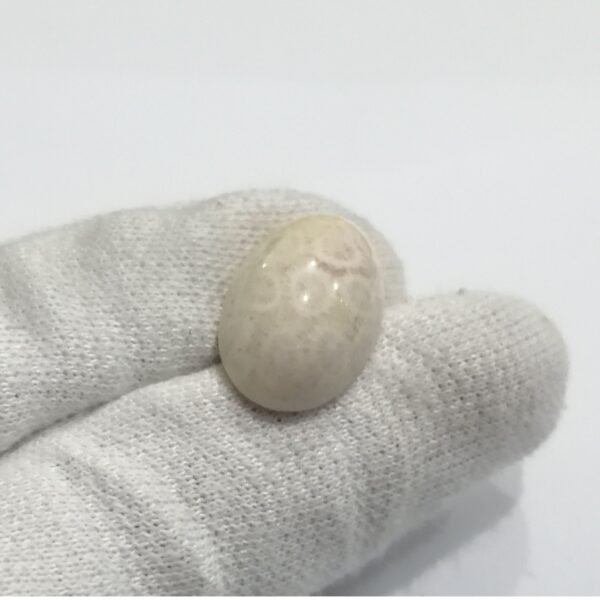 coral 18.95ct - Image 2