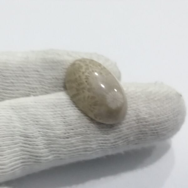 Coral Fossil 18.10ct - Image 2
