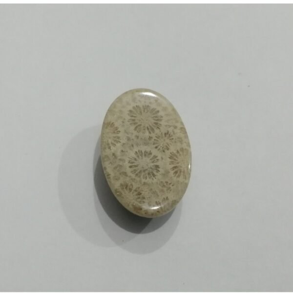 Coral Fossil 18.10ct - Image 3